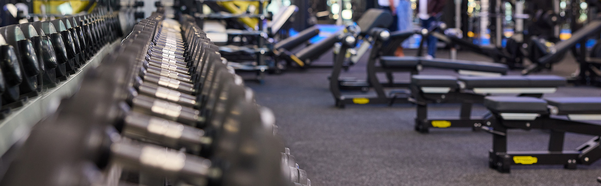 Row of dumbbells in the gym