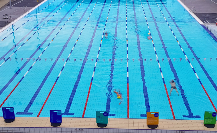 lap lanes with swimmers