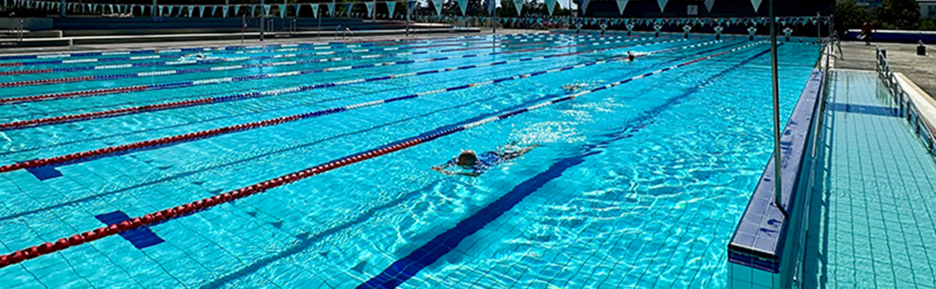 Swimming laps in the 50m pool